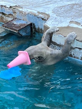 天王寺動物園に投稿された画像（2024/11/29）