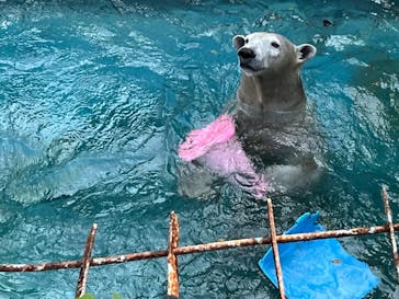 天王寺動物園に投稿された画像（2024/11/29）