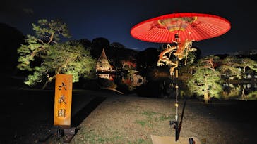 六義園に投稿された画像（2024/11/29）