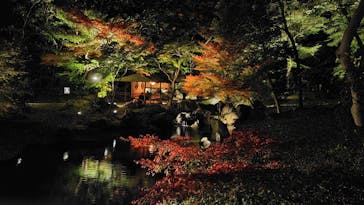 六義園に投稿された画像（2024/11/29）