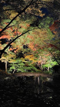 六義園に投稿された画像（2024/11/29）