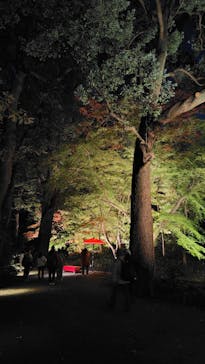 六義園に投稿された画像（2024/11/29）