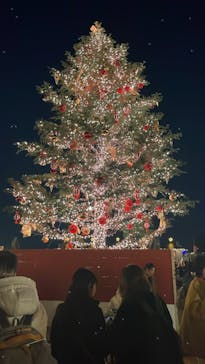 Christmas Market in 横浜赤レンガ倉庫 2025に投稿された画像（2024/11/29）