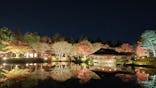 国営昭和記念公園 秋の夜散歩に投稿された画像（2024/11/29）