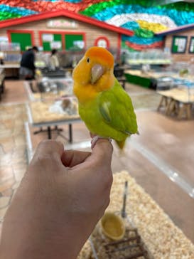 いきもの探検隊上尾に投稿された画像（2024/11/29）