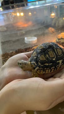 いきもの探検隊上尾に投稿された画像（2024/11/29）