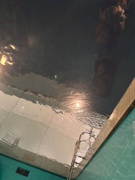 金沢21世紀美術館に投稿された画像（2024/11/29）