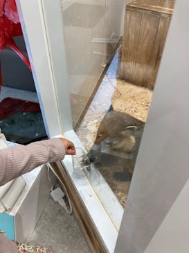 アニタッチ 東京ドームシティに投稿された画像（2024/11/29）