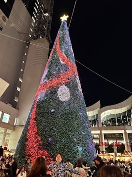 梅田スカイビル・空中庭園展望台に投稿された画像（2024/11/29）
