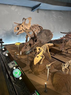 福井県立恐竜博物館に投稿された画像（2024/11/29）