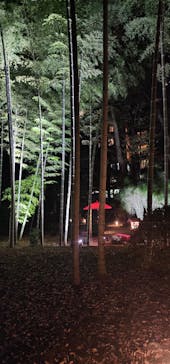 六義園に投稿された画像（2024/11/29）