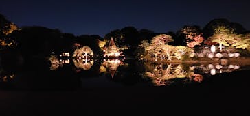 六義園に投稿された画像（2024/11/29）