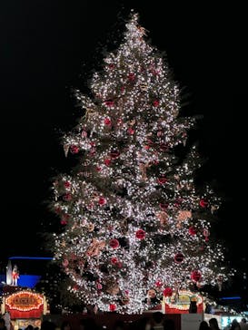 Christmas Market in 横浜赤レンガ倉庫 2025に投稿された画像（2024/11/29）