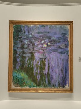 モネ 睡蓮のとき（国立西洋美術館）に投稿された画像（2024/11/29）
