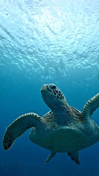  マリンショップHAPPYに投稿された画像（2024/11/29）