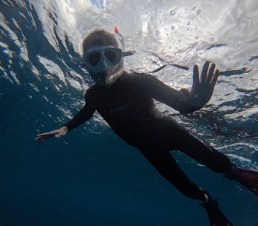  マリンショップHAPPYに投稿された画像（2024/11/29）