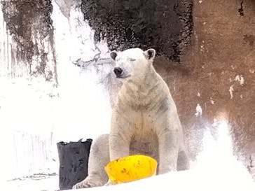天王寺動物園に投稿された画像（2024/11/29）