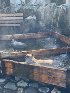 那須どうぶつ王国に投稿された画像（2024/11/29）