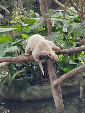 那須どうぶつ王国に投稿された画像（2024/11/29）