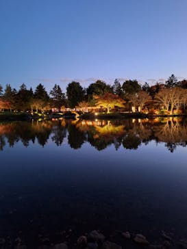 国営昭和記念公園 秋の夜散歩に投稿された画像（2024/11/29）