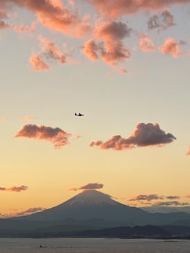 江の島シーキャンドルに投稿された画像（2024/11/29）