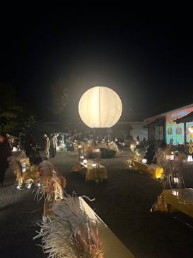 NAKED meets 二条城 2025 観月に投稿された画像（2024/11/29）