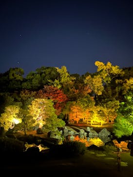 NAKED meets 二条城 2025 観月に投稿された画像（2024/11/29）