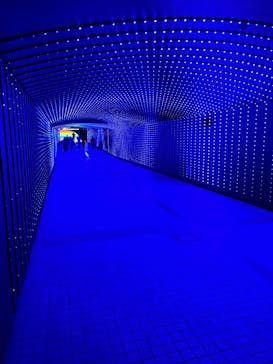 東京メガイルミに投稿された画像（2024/11/29）