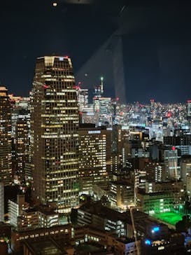 東京タワーに投稿された画像（2024/11/29）