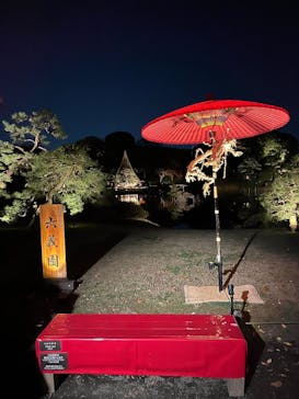 六義園に投稿された画像（2024/11/29）