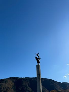 彫刻の森美術館に投稿された画像（2024/11/30）