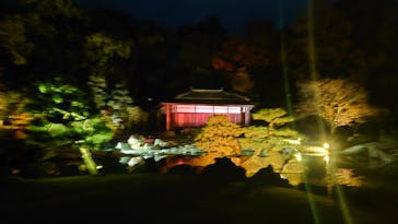 NAKED meets 二条城 2025 観月に投稿された画像（2024/11/30）