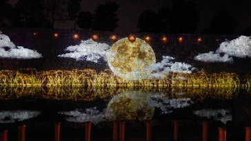 NAKED meets 二条城 2025 観月に投稿された画像（2024/11/30）