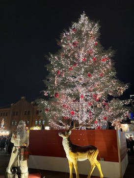 Christmas Market in 横浜赤レンガ倉庫 2025に投稿された画像（2024/11/30）