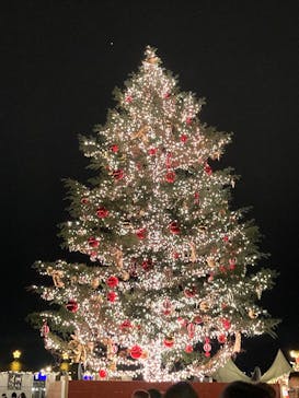 Christmas Market in 横浜赤レンガ倉庫 2025に投稿された画像（2024/11/30）