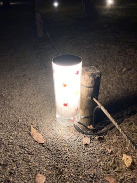 六義園に投稿された画像（2024/11/30）