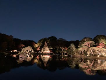 六義園に投稿された画像（2024/11/30）