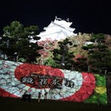 姫路城ライトアップイベント　鏡花水月　@姫路城三の丸広場に投稿された画像（2024/11/30）