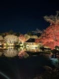 国営昭和記念公園 秋の夜散歩に投稿された画像（2024/11/30）