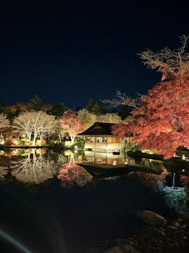国営昭和記念公園 秋の夜散歩に投稿された画像（2024/11/30）