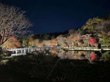 国営昭和記念公園 秋の夜散歩に投稿された画像（2024/11/30）