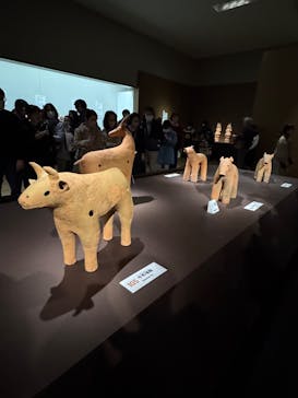 挂甲の武人 国宝指定50周年記念 特別展「はにわ」@東京国立博物館 平成館に投稿された画像（2024/11/30）
