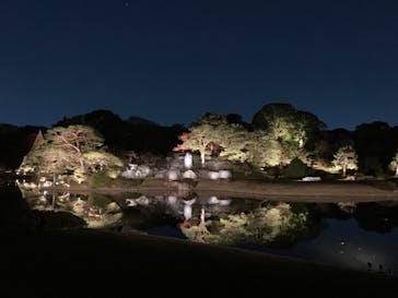 六義園に投稿された画像（2024/11/30）