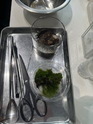 minneのハンドメイドマーケット2024に投稿された画像（2024/11/30）