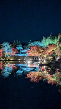 国営昭和記念公園 秋の夜散歩に投稿された画像（2024/11/30）