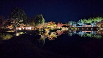 国営昭和記念公園 秋の夜散歩に投稿された画像（2024/11/30）