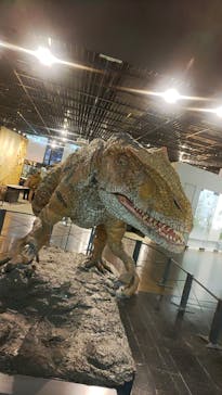 福井県立恐竜博物館に投稿された画像（2024/11/30）