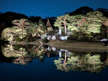 六義園に投稿された画像（2024/11/30）