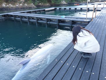 太地町立くじらの博物館に投稿された画像（2024/11/30）