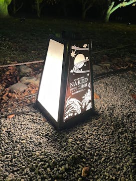 NAKED meets 二条城 2025 観月に投稿された画像（2024/11/30）